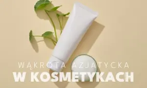 Biała tubka kosmetyku i gałązka z liśćmi wąkrotki azjatyckiej. Wąkrota azjatycka w kosmetykach to sekret pięknej skóry.