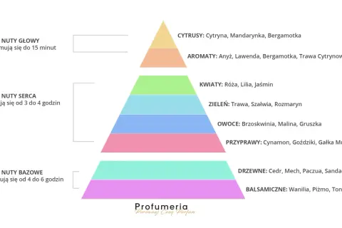 Piramide zapachowa perfum: nuty głowy (cytrusy, aromaty), nuty serca (kwiaty, zieleń, owoce, przyprawy) i nuty bazowe (drzewne, balsamiczne).