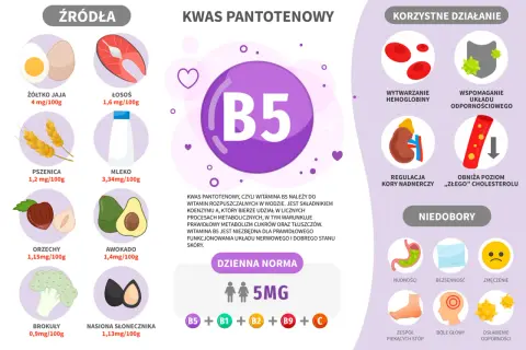 Wykres o witaminie B5: źródła (jajka, łosoś, pszenica, mleko, orzechy, awokado, brokuły, słonecznik), korzyści (hemoglobina, odporność, nadnercza, cholesterol) i niedobory (nudności, bezsenność, zmęczenie, piekące stopy, bóle głowy, osłabienie odpornoś...