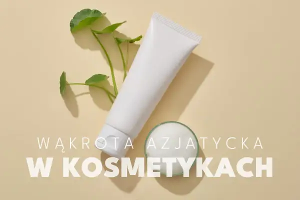 Biała tubka kosmetyku i gałązka z liśćmi wąkrotki azjatyckiej. Wąkrota azjatycka w kosmetykach to sekret pięknej skóry.